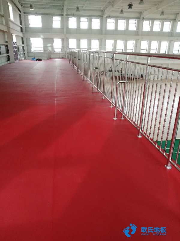 集成運動木地板,現(xiàn)代場館體育設施